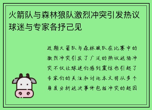 火箭队与森林狼队激烈冲突引发热议球迷与专家各抒己见
