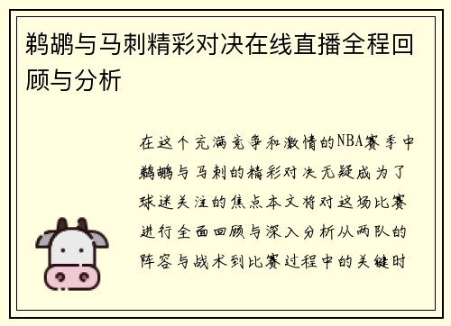 鹈鹕与马刺精彩对决在线直播全程回顾与分析