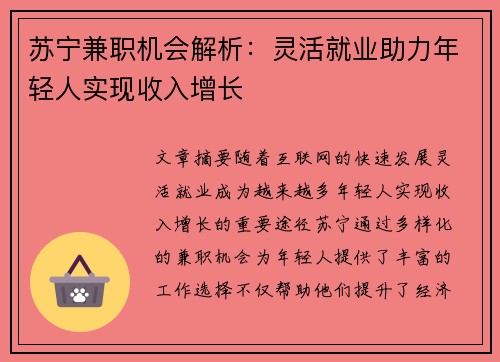 苏宁兼职机会解析：灵活就业助力年轻人实现收入增长