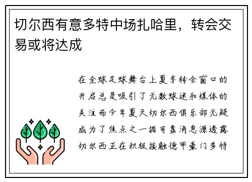 切尔西有意多特中场扎哈里，转会交易或将达成