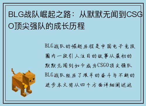 BLG战队崛起之路：从默默无闻到CSGO顶尖强队的成长历程
