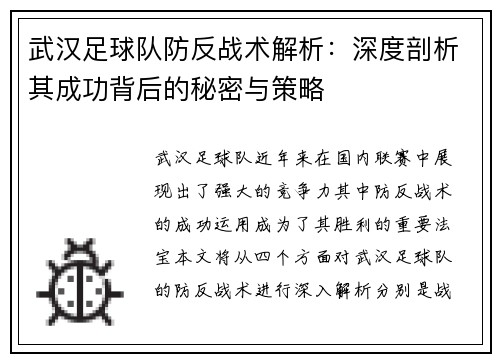 武汉足球队防反战术解析：深度剖析其成功背后的秘密与策略